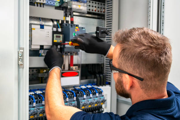 Best Electric Panel Repair  in Caoncito, NM